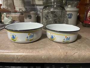 Vintage Floral Garden Watering Can Pattern Enamelware Nesting Bowls, Set of 2